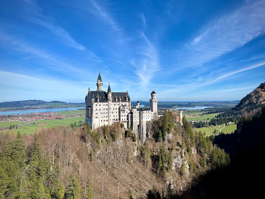 a castle on top of a hill surrounded by trees